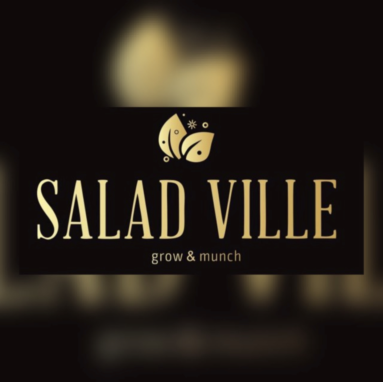Salad ville