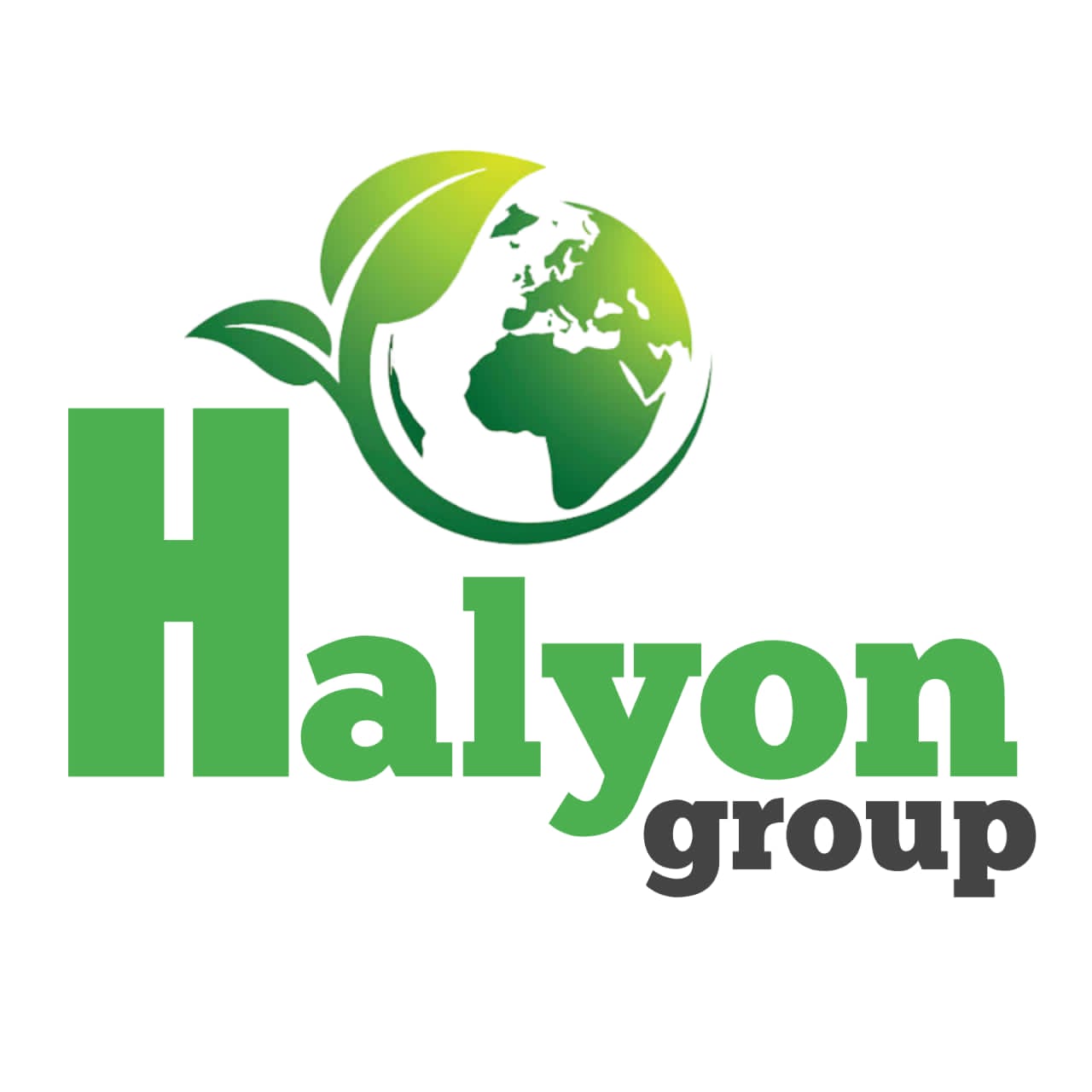 Halyon Group